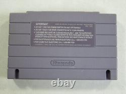 Actraiser Super Nintel (snes) Ntsc-usa (complete Good Condition Overall)