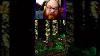 Don T Kill This Vulture Dkc Donkeykong Snes Nintendo Retrogaming Vi Shorester On Twitch