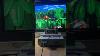 Donkey Kong Country Nintendo Donkeykong Donkeykongcountry Snes Diddykong Shorts Diddy Retro