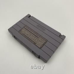 Dragon View (Drakkhen 2) Super Nintendo SNES Authentic TESTED WORKS