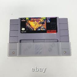 Skyblazer (Super Nintendo SNES) Authentic & Tested