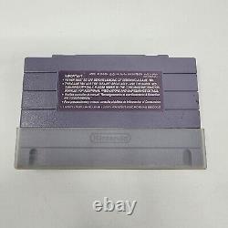 Skyblazer (Super Nintendo SNES) Authentic & Tested