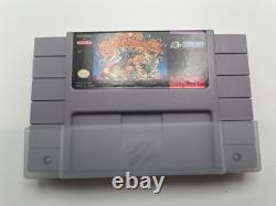 Super Adventure Island II 2 Super Nintendo, 1995 SNES CIB Complete With Poster