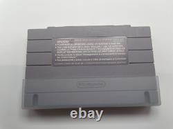 Super Adventure Island II 2 Super Nintendo, 1995 SNES CIB Complete With Poster