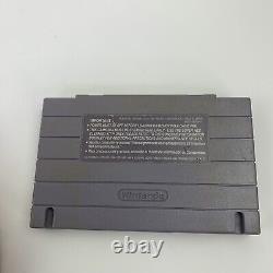 Super Adventure Island II 2 Super Nintendo SNES Original Authentic Tested Rare