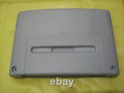 Super Nintendo SNES Replacement Plastic Case Shell Game Cartridge PAL/JP New