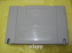 Super Nintendo SNES Replacement Plastic Case Shell Game Cartridge PAL/JP New