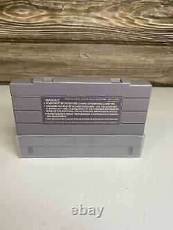 The Pirates of Dark Water (Super Nintendo, SNES) Authentic Game Cart Tested