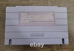 The Twisted Tales of Spike McFang SNES Nintendo 1993 COMPLETE with POSTER