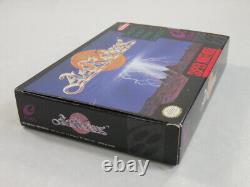 Actraiser Super Nintendo (snes) Ntsc-usa (complet, en bon état général)