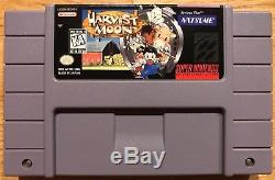Harvest Moon (super Nintendo, 1997) Authentic Cib Complete In Box Snes Testé