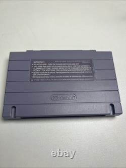 Soul Blazer Jeu Vidéo Super Nintendo Cartouche SNES Seulement PROPRE MINT